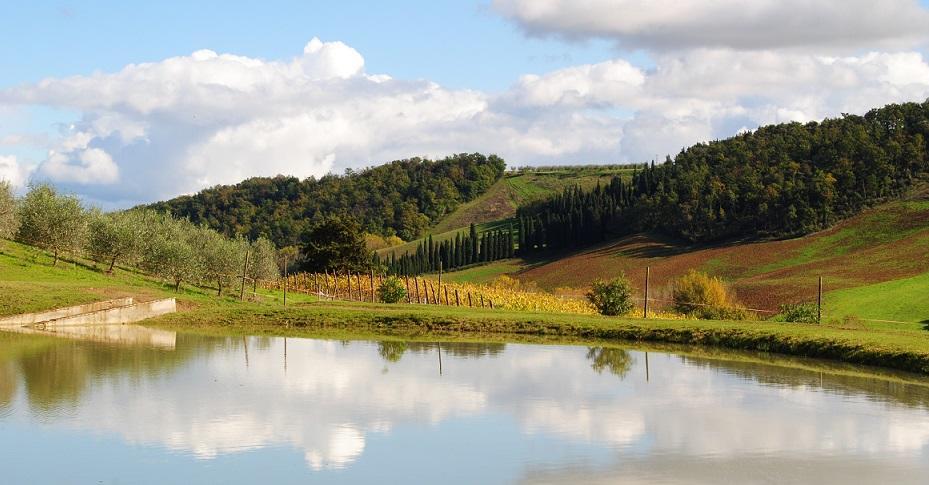 Agriturismo Fattoria Voltrona San Gimignano Luaran gambar