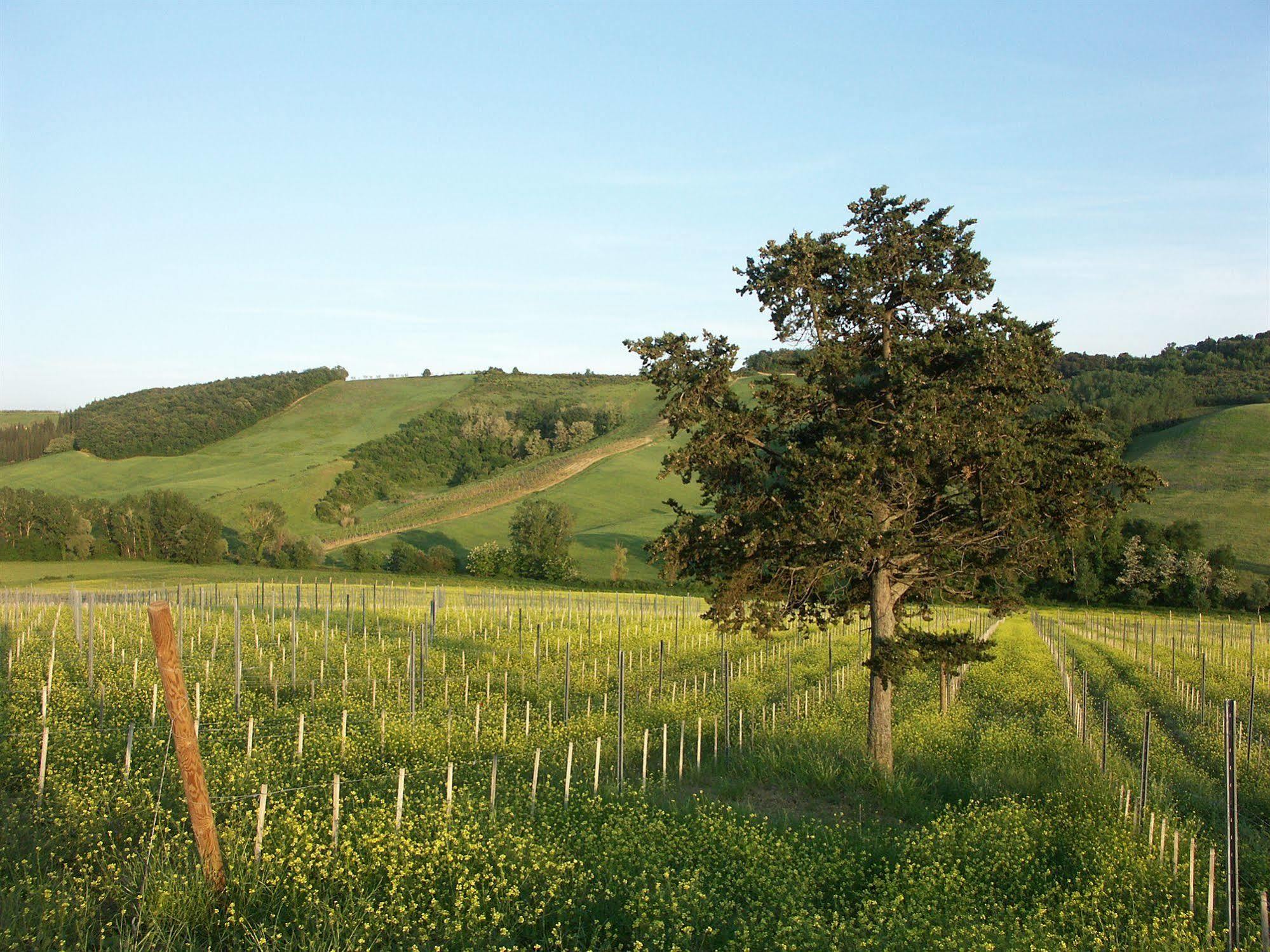 Agriturismo Fattoria Voltrona San Gimignano Luaran gambar