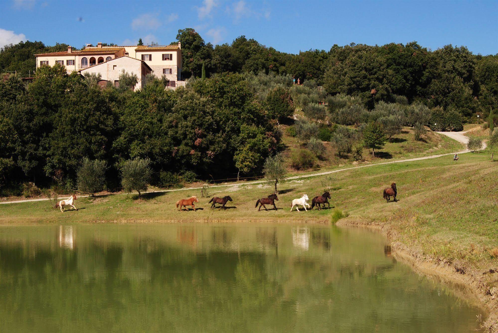 Agriturismo Fattoria Voltrona San Gimignano Luaran gambar